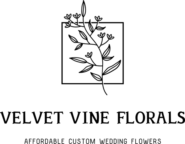 Velvet Vine Florals